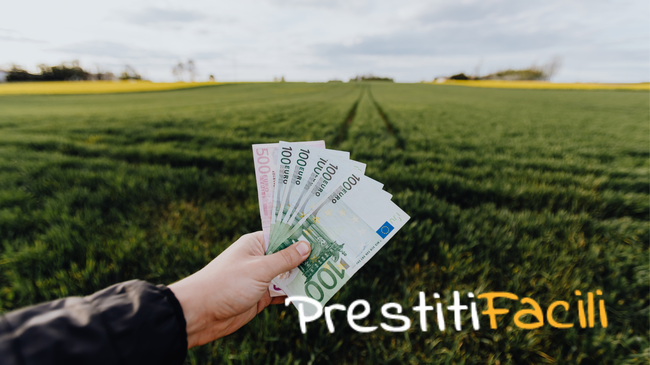 Prestiti Facili, Come Funziona? - Recensioni & Opinioni